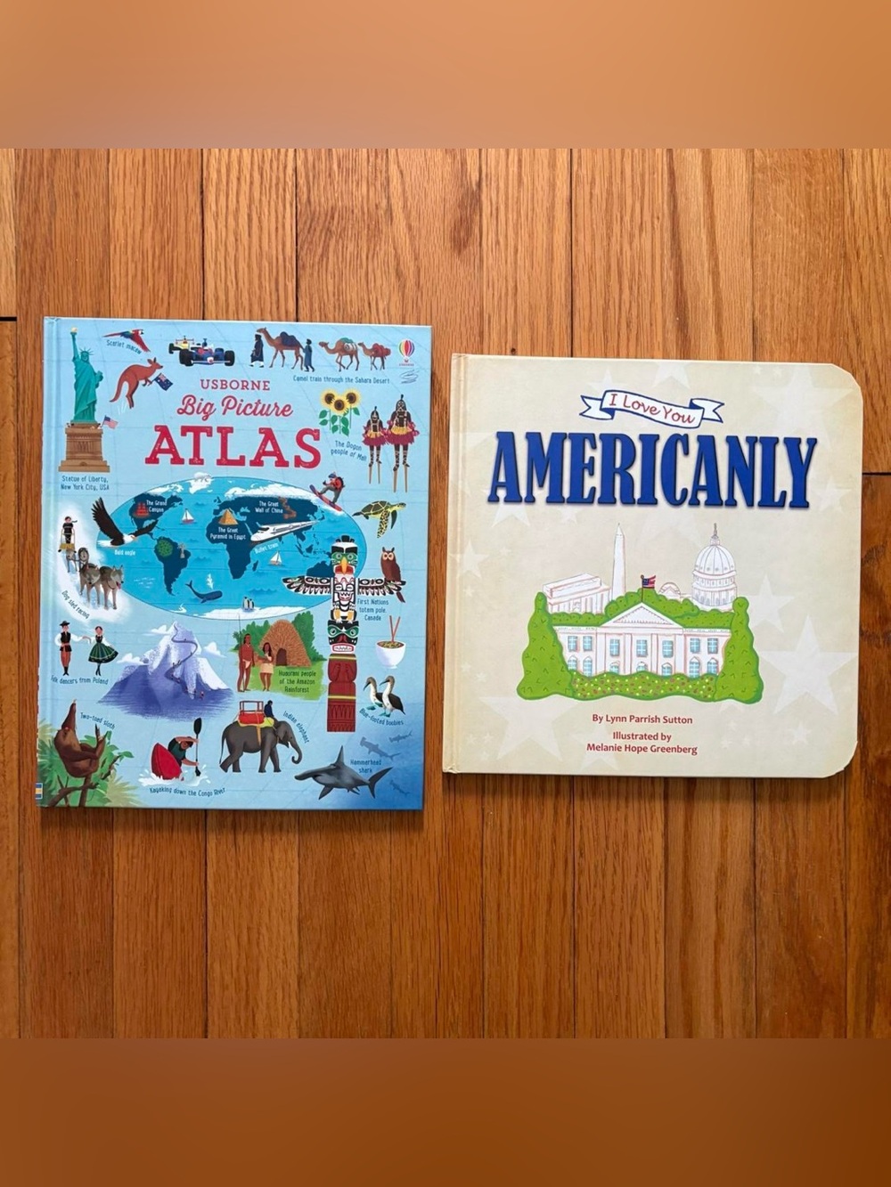 Usborne Big Picture World Atlas & I Love You Americanly Kids Hardcover Book Lot